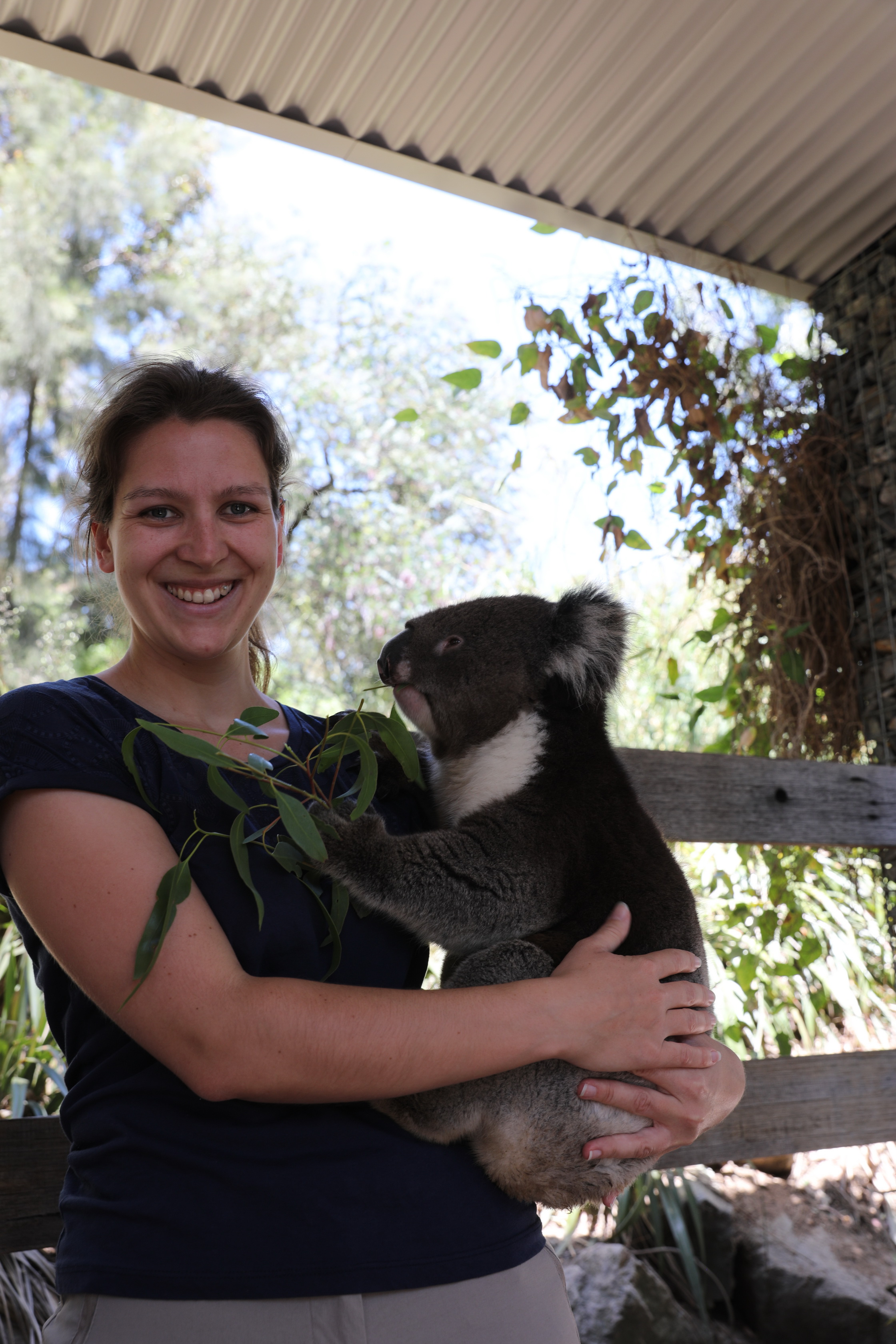 2019 11 22 13 34 55 Canon EOS 5D Mark IV 0004